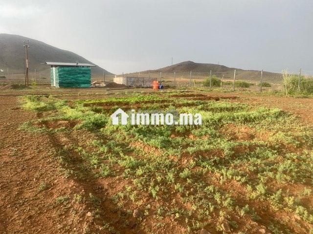 Terrain 17km Marrakech - Vente Immobilier - Marrakech - photo 1