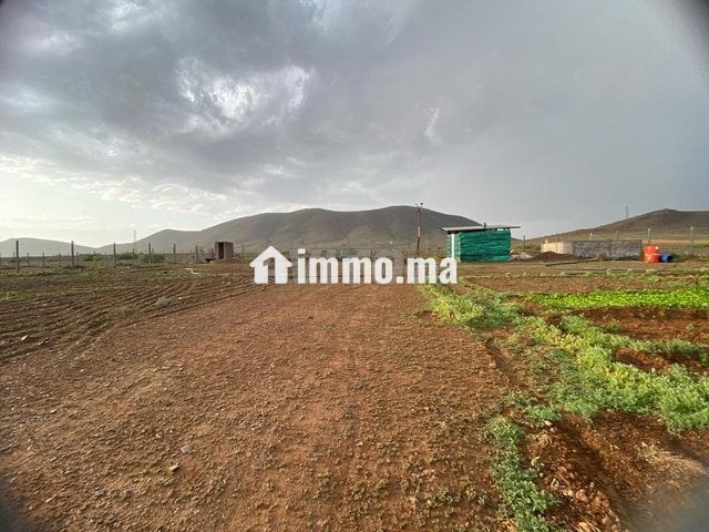 Terrain 17km Marrakech - Vente Immobilier - Marrakech - photo 3