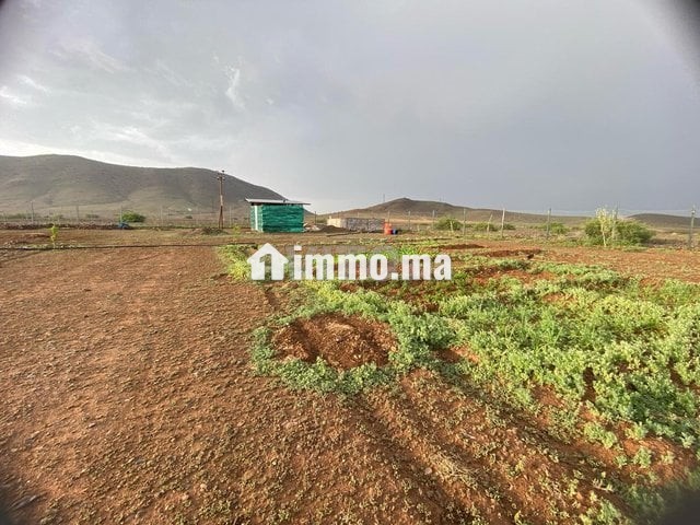 Terrain 17km Marrakech - Vente Immobilier - Marrakech - photo 4