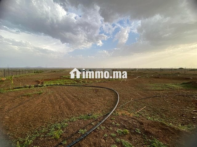 Terrain 17km Marrakech - Vente Immobilier - Marrakech - photo 5
