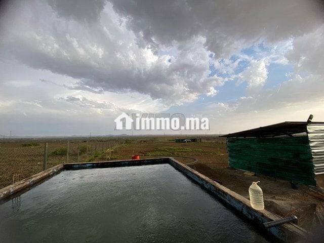 Terrain 17km Marrakech - Vente Immobilier - Marrakech - photo 6