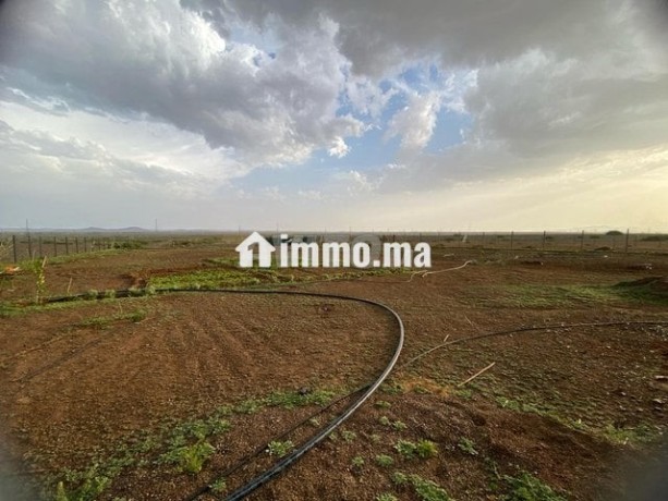 terrain-17km-marrakech-big-4