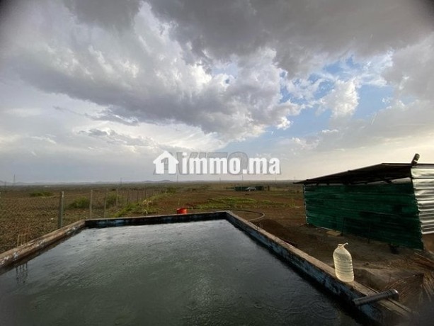 terrain-17km-marrakech-big-5