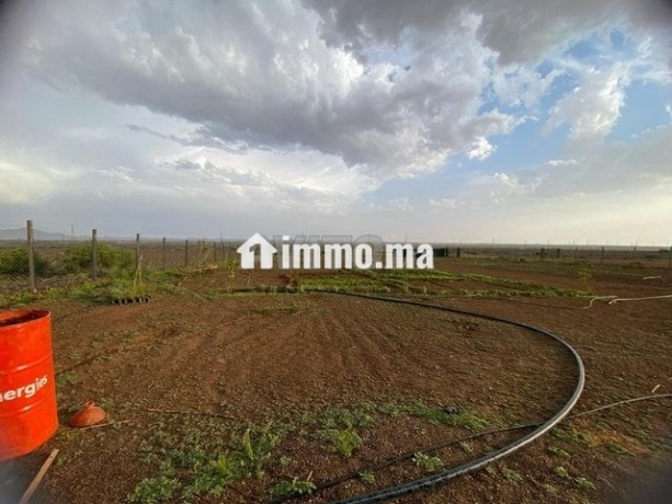 terrain-17km-marrakech-big-6
