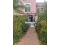 fyla-llkraaa-balnsb-llmnasbat-alsghyr-small-2