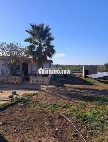 فيرما علىى الشارع تيتر - Vente Immobilier - Berrechid - photo 6