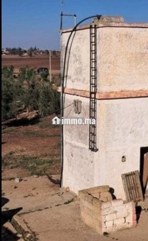 فيرما علىى الشارع تيتر - Vente Immobilier - Berrechid - photo 7