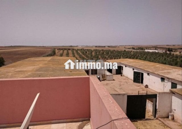 فيرما علىى الشارع تيتر - Vente Immobilier - Berrechid - photo 8