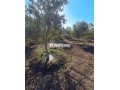 fyrma-aal-alsharaa-tytr-small-9