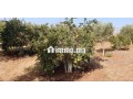 fyrma-aal-alsharaa-tytr-small-1