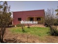 fyrma-aal-alsharaa-tytr-small-4