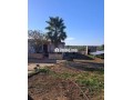fyrma-aal-alsharaa-tytr-small-5