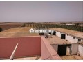fyrma-aal-alsharaa-tytr-small-7