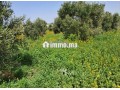 fyrma-aal-alsharaa-tytr-small-8