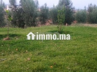 فيرما علىى الشارع تيتر - Terrain à vendre - Berrechid