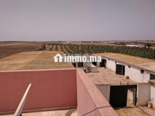 فيرما علىى الشارع تيتر - Terrain à vendre - Berrechid