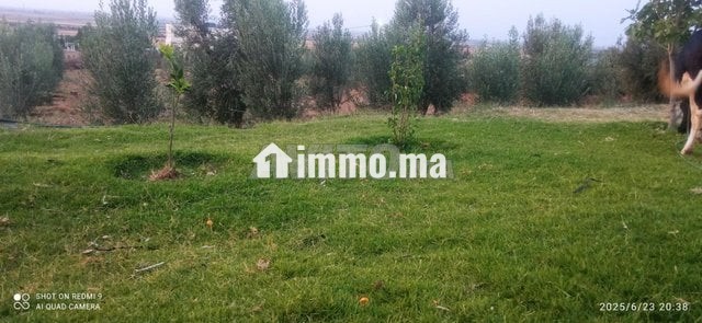 fyrma-aal-alsharaa-tytr-big-10