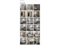 apaprtement-meuble-pour-longue-duree-small-9