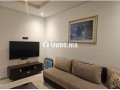 apaprtement-meuble-pour-longue-duree-small-4