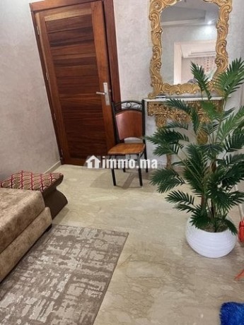 appartement-meuble-de-74-a-louer-big-4