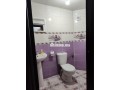 shk-llkraaa-alyomy-llaaaylat-almhtrm-small-6