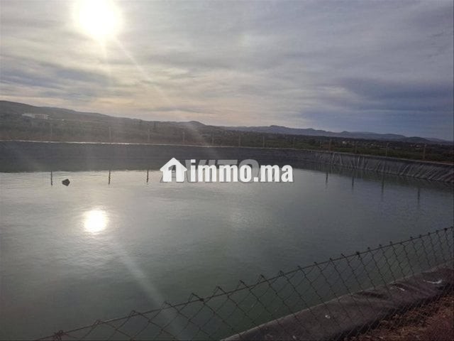 أرض فلاحية خصبة بالشويحية مساحة 3 هكتارات - Vente Immobilier - Berkane - photo 1