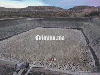 أرض فلاحية خصبة بالشويحية مساحة 3 هكتارات - Terrain à vendre - Berkane