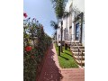 triplex-a-vendre-a-harhoura-small-4