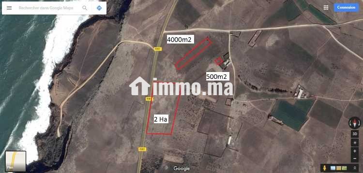 TERRAIN A VENDRE - Vente Immobilier - Safi - photo 2