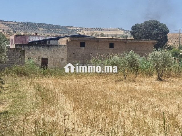 Une ferme de 2,5 hectares titré - Vente Immobilier - Fes - photo 6