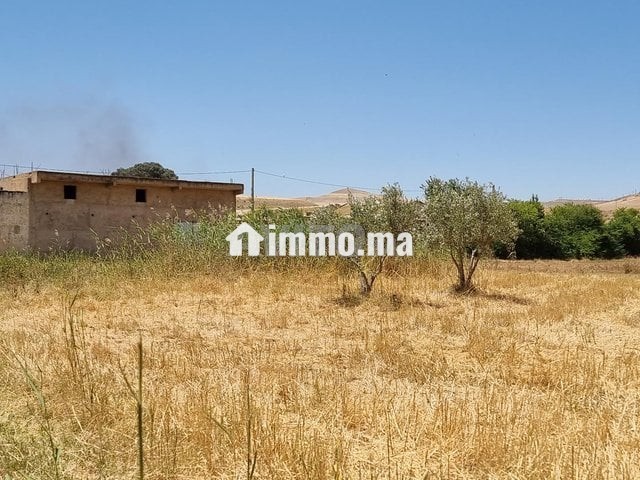 Une ferme de 2,5 hectares titré - Vente Immobilier - Fes - photo 7