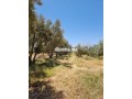 une-ferme-de-25-hectares-titre-small-0
