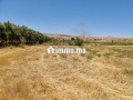 une-ferme-de-25-hectares-titre-small-9