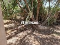 une-ferme-de-25-hectares-titre-small-15