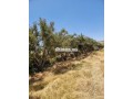 une-ferme-de-25-hectares-titre-small-8