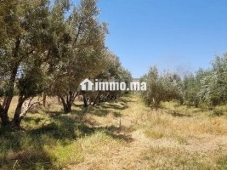 une-ferme-de-25-hectares-titre