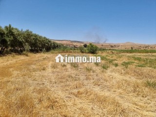 Une ferme de 2,5 hectares titré - Terrain à vendre - Fes
