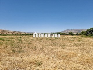 Une ferme de 2,5 hectares titré - Terrain à vendre - Fes