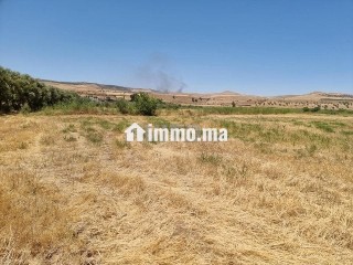 Une ferme de 2,5 hectares titré - Terrain à vendre - Fes