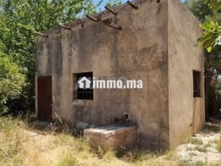 Une ferme de 2,5 hectares titré - Terrain à vendre - Fes