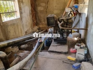 Une ferme de 2,5 hectares titré - Terrain à vendre - Fes