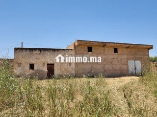 Une ferme de 2,5 hectares titré - Terrain à vendre - Fes