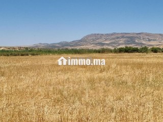 Une ferme de 2,5 hectares titré - Terrain à vendre - Fes