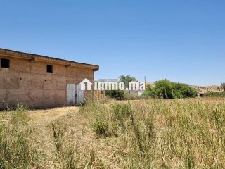 Une ferme de 2,5 hectares titré - Terrain à vendre - Fes