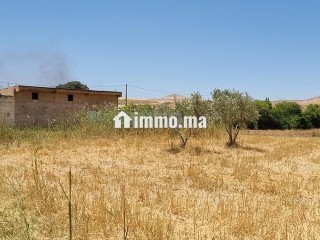Une ferme de 2,5 hectares titré - Terrain à vendre - Fes