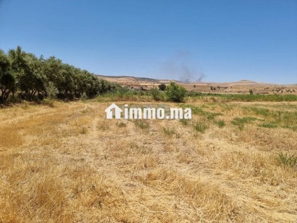 une-ferme-de-25-hectares-titre-big-9
