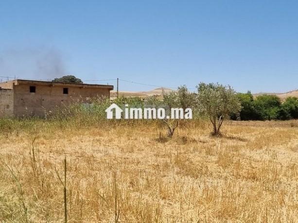 une-ferme-de-25-hectares-titre-big-6