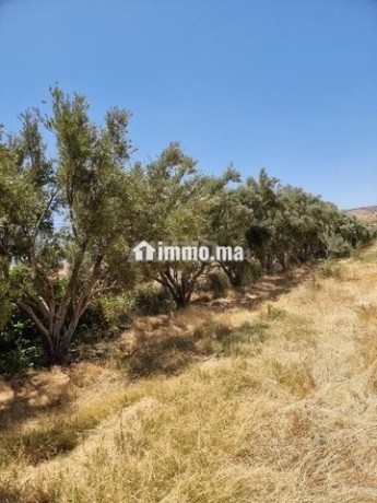 une-ferme-de-25-hectares-titre-big-8