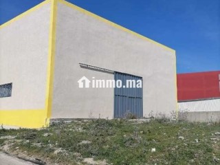 Location usine(vc option achat très intéressante) - Local commercial à louer - Tanger