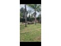 vente-magnifique-villa-a-route-el-jadida-2445m2-small-16